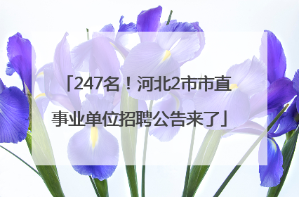 247名！河北2市市直事业单位招聘公告来了