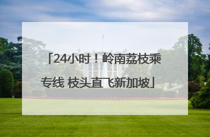 24小时！岭南荔枝乘专线 枝头直飞新加坡