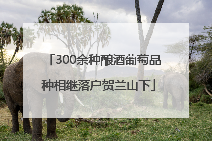 300余种酿酒葡萄品种相继落户贺兰山下