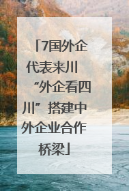 7国外企代表来川 “外企看四川”搭建中外企业合作桥梁