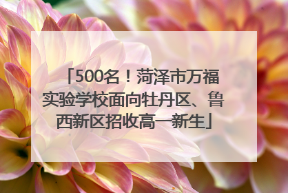 500名！菏泽市万福实验学校面向牡丹区、鲁西新区招收高一新生