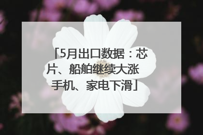 5月出口数据：芯片、船舶继续大涨 手机、家电下滑