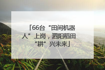 66台“田间机器人”上岗，泗阳稻田“耕”兴未来