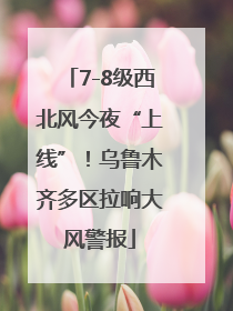7-8级西北风今夜“上线”！乌鲁木齐多区拉响大风警报