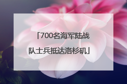700名海军陆战队士兵抵达洛杉矶