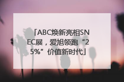 ABC焕新亮相SNEC展，爱旭领跑“25%”价值新时代
