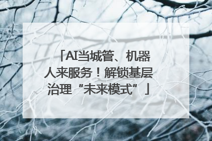 AI当城管、机器人来服务！解锁基层治理“未来模式”