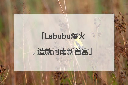 Labubu爆火，造就河南新首富