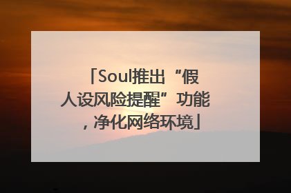 Soul推出“假人设风险提醒”功能，净化网络环境