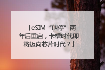 eSIM“叫停”两年后重启，卡槽时代即将迈向芯片时代？